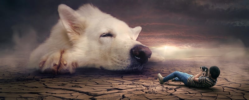 Fantasy Fauna
